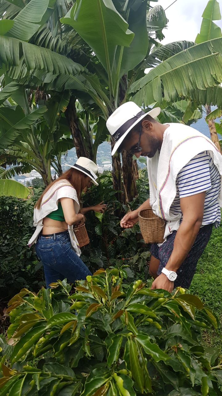 Arví Ancenstral Wellness & Coffee Tour - Image 10