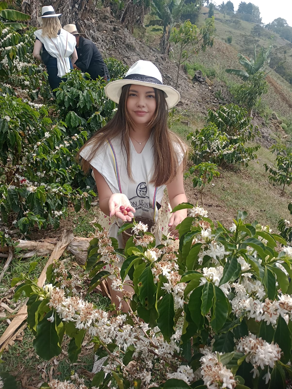 Arví Ancenstral Wellness & Coffee Tour - Image 18